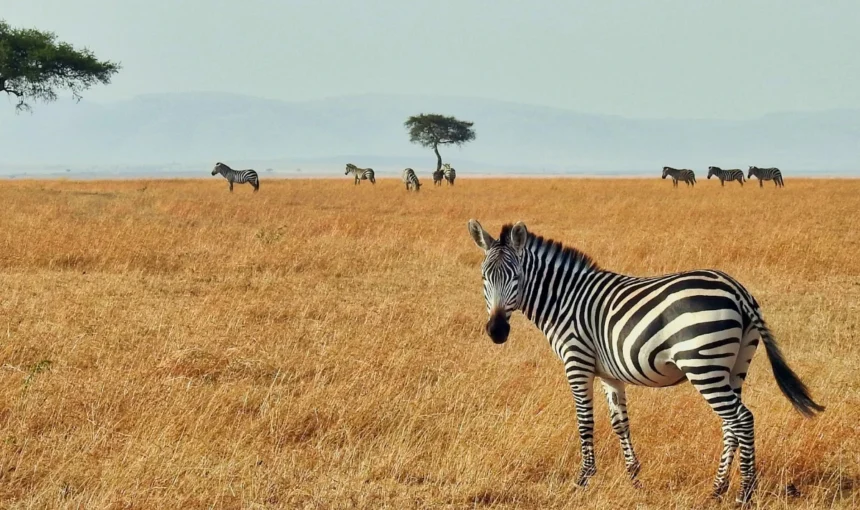 A Guide to Rocky Mountain vacations